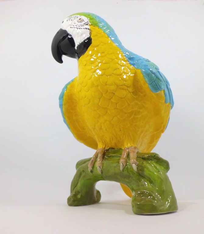 Blue / yellow parrot