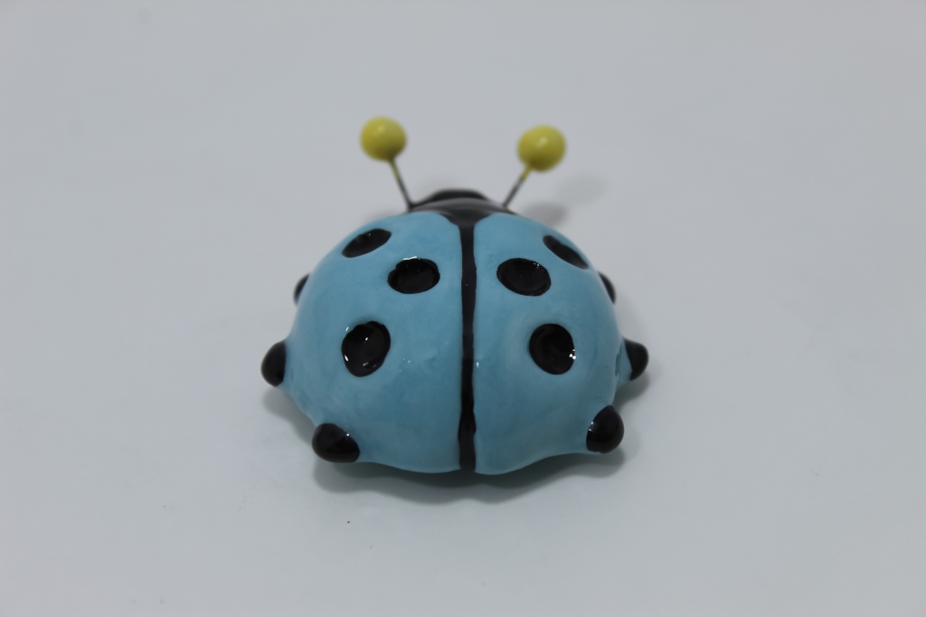 Ladybird Baby with antennae
